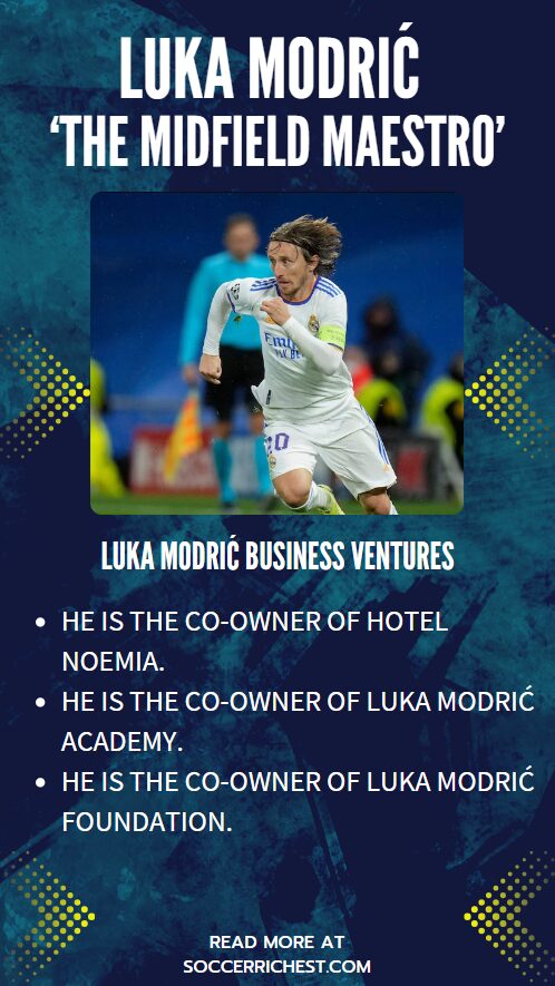 An infographic illustration of Luka's Business Ventures and Investments 